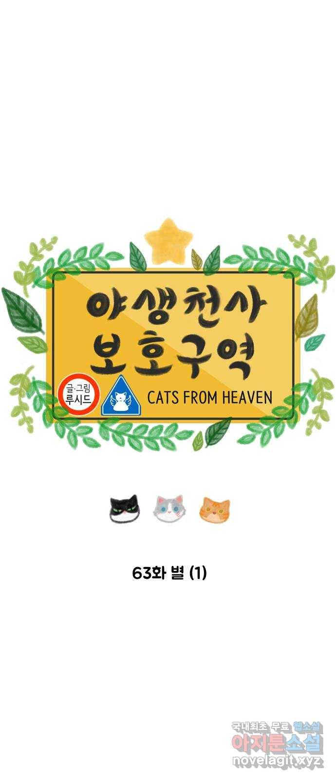 야생천사 보호구역 63화 별 (1) 6