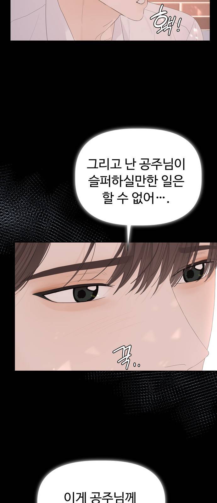 혁명 뒤 공주는 23화 63