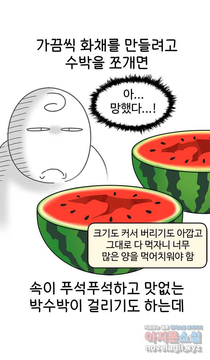 먹는 인생 62화 수박화채 21