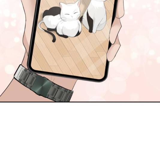 완벽한 결혼의 정석 50화 5