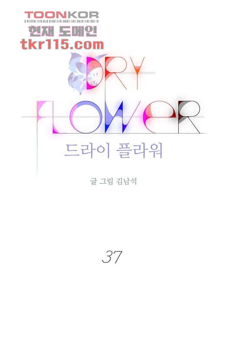 드라이 플라워 (Dry flower) 37화 1