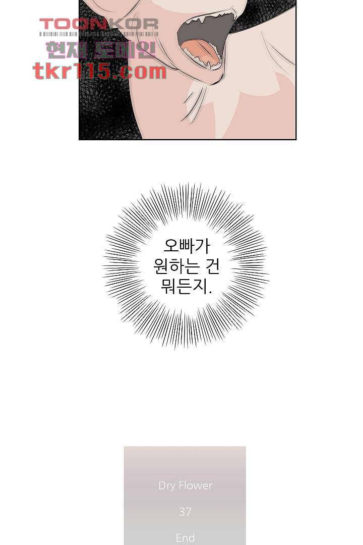 드라이 플라워 (Dry flower) 37화 37