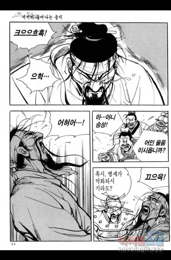 박봉성 삼국지 3부 21권 61
