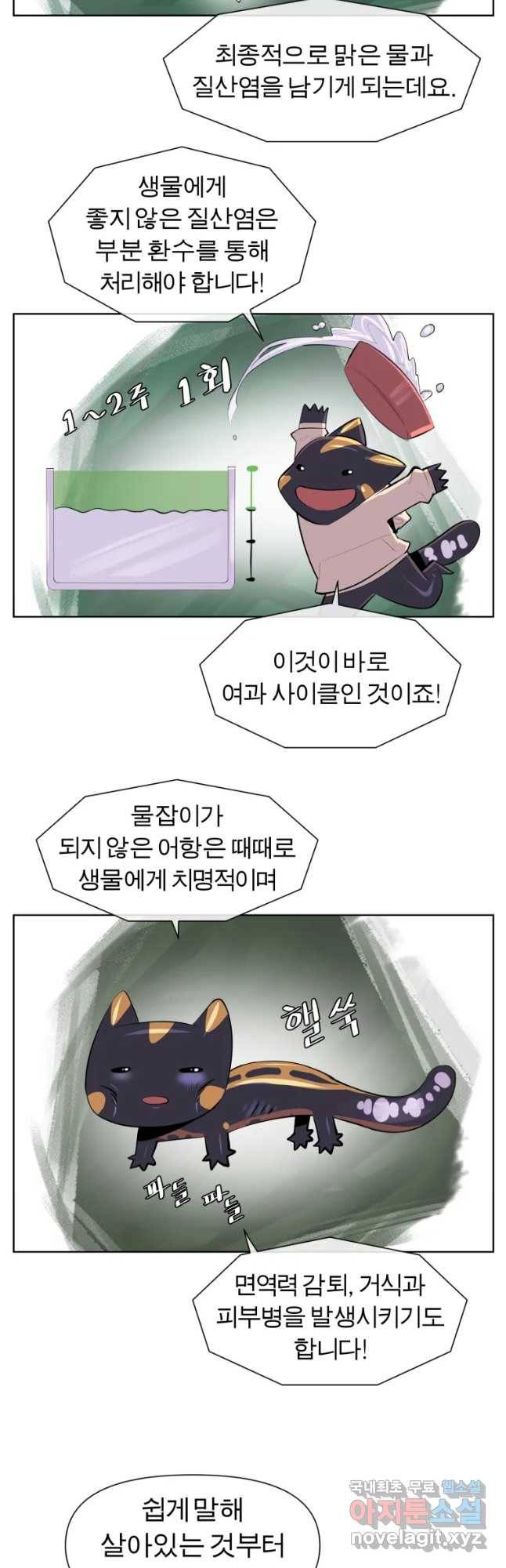 케어시트 37화 바다 10