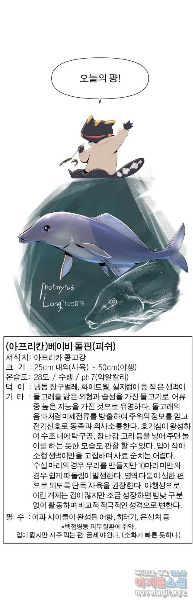 케어시트 37화 바다 43
