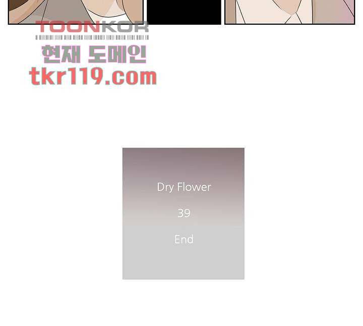 드라이 플라워 (Dry flower) 39화 38