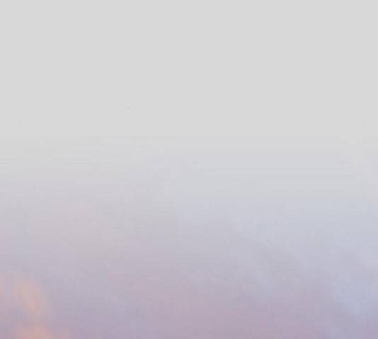 늑대처럼 홀로 24화 80