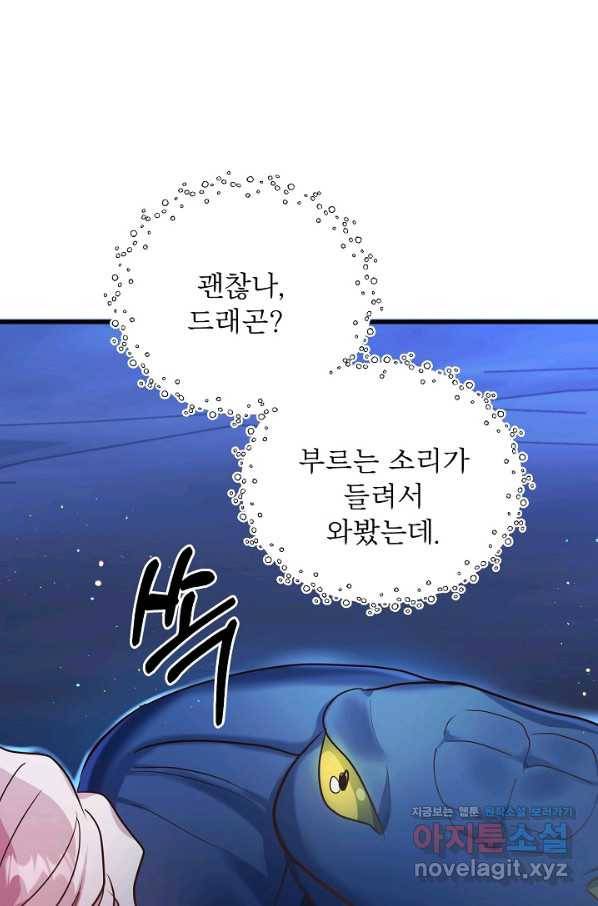 베이비 드래곤 63화 73