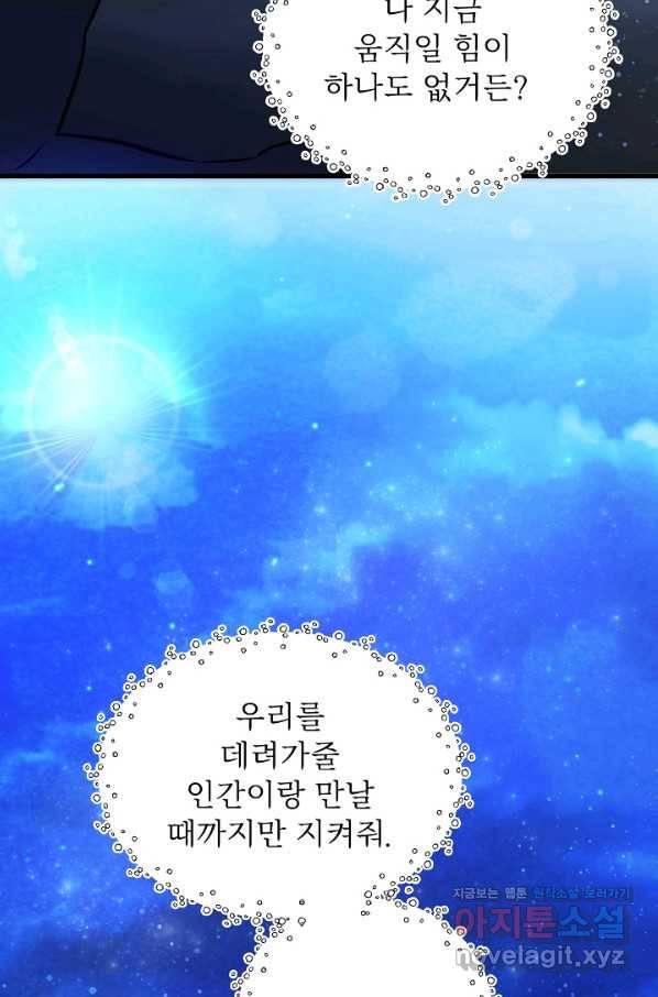 베이비 드래곤 63화 78