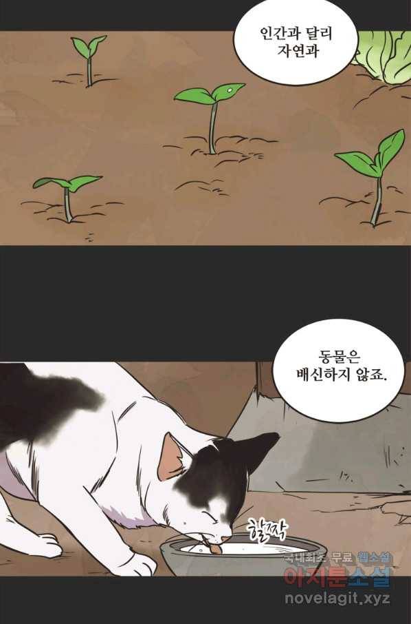 N번째 연애 28화 37