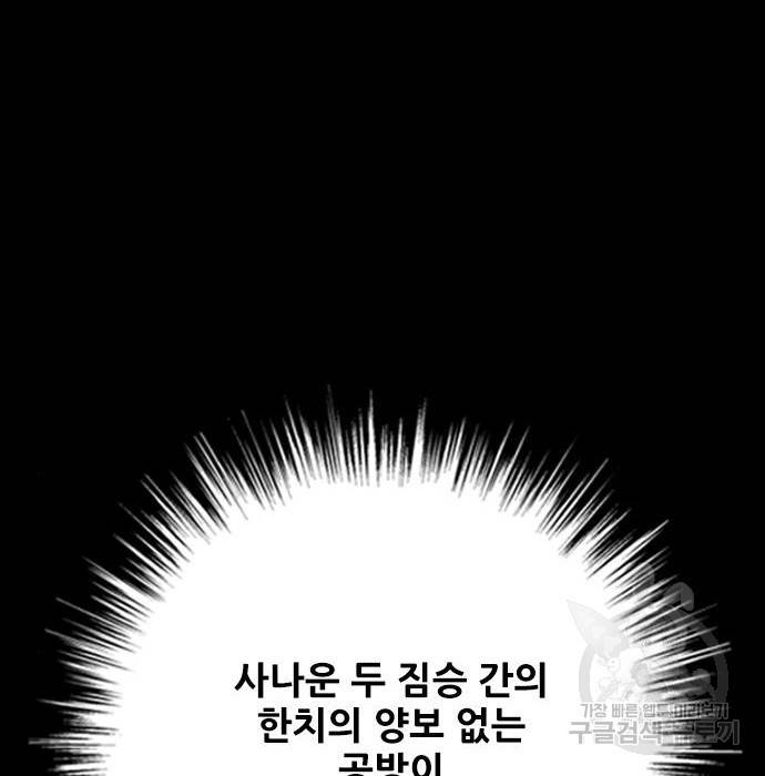 호랑이형님 3부 15화 13