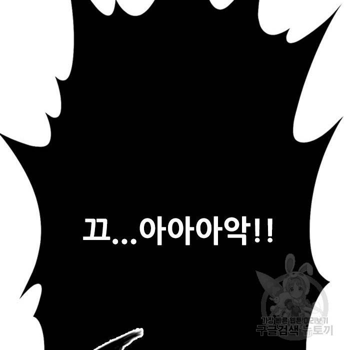 호랑이형님 3부 15화 265