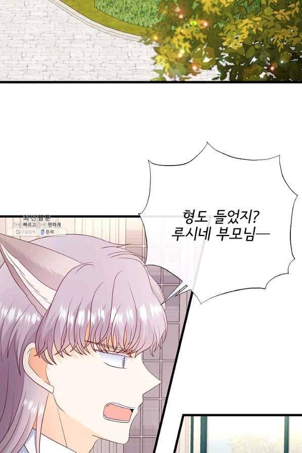 늑대지만 해치지 않아요 64화 8