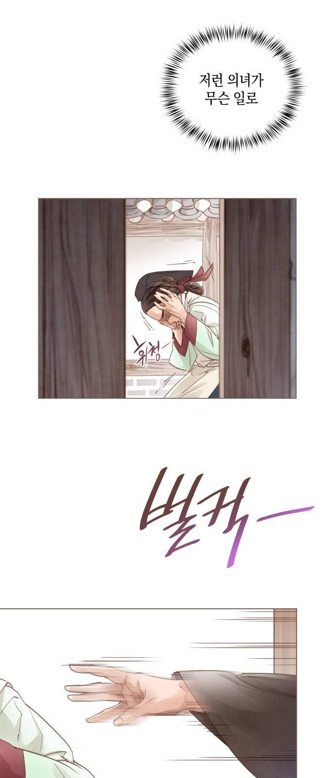 홍 의관의 은밀한 비밀 9화 4
