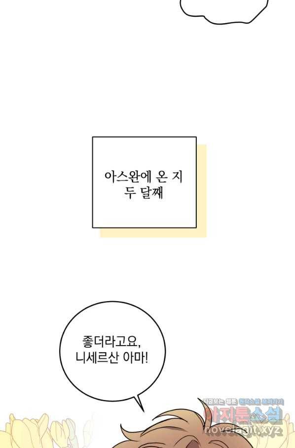 여왕 쎄시아의 반바지 87화 17
