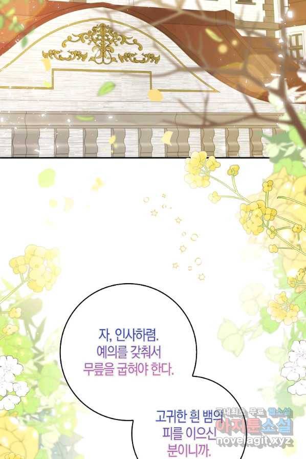 아기 다람쥐가 다 잘해요 1화 3