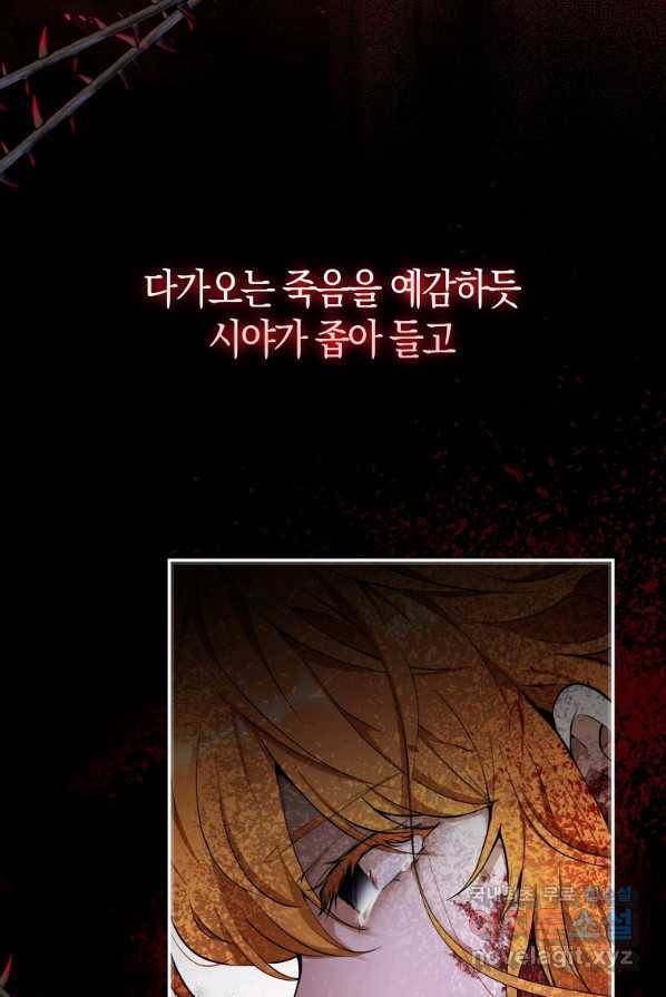 아기 다람쥐가 다 잘해요 1화 13