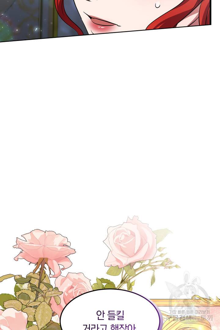 나의 황제께 붉은 월계수 꽃을 15화 33