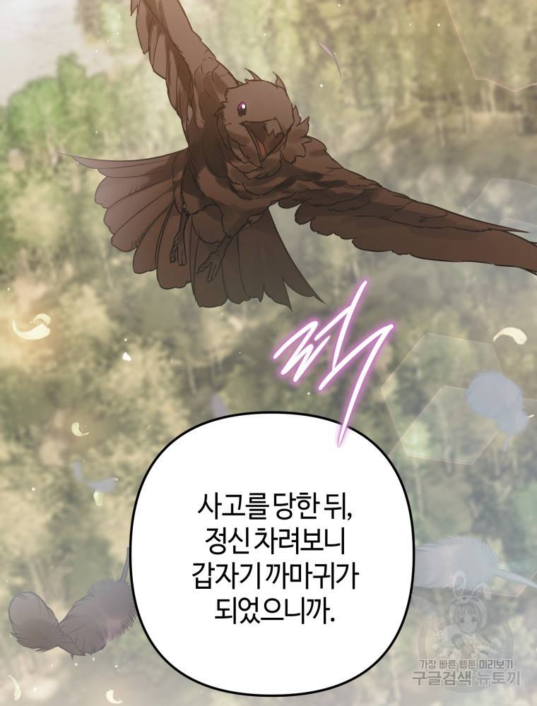 하필이면 까마귀가 되어버렸다 50화 30