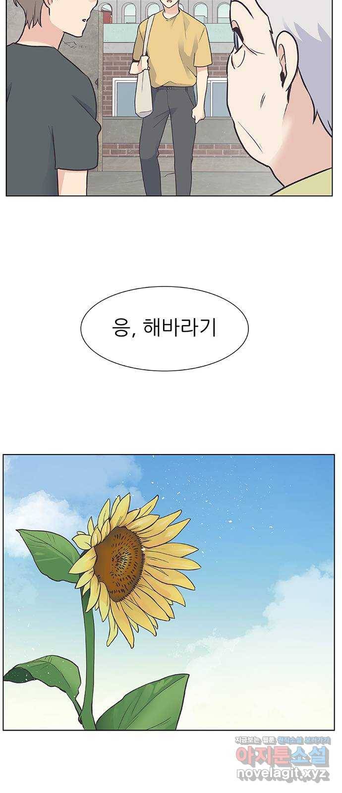 보듬보듬 37화 : 해바라기 53