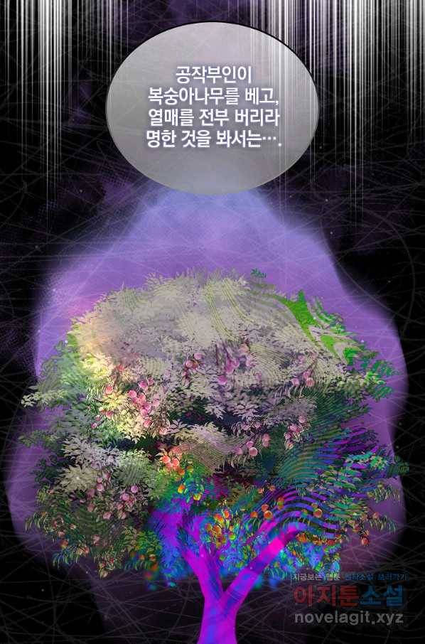 유월의 복숭아 42화 12