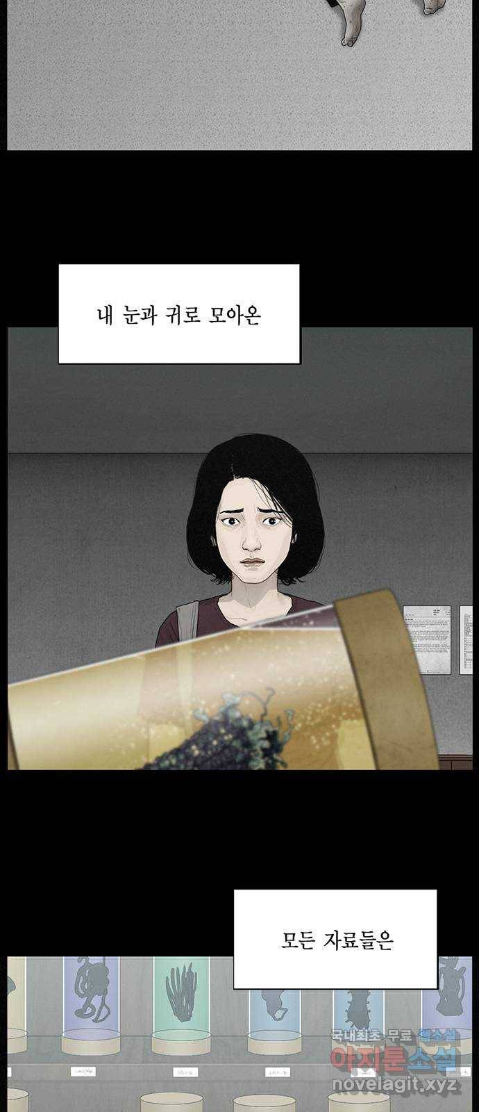 아도나이 176화 29