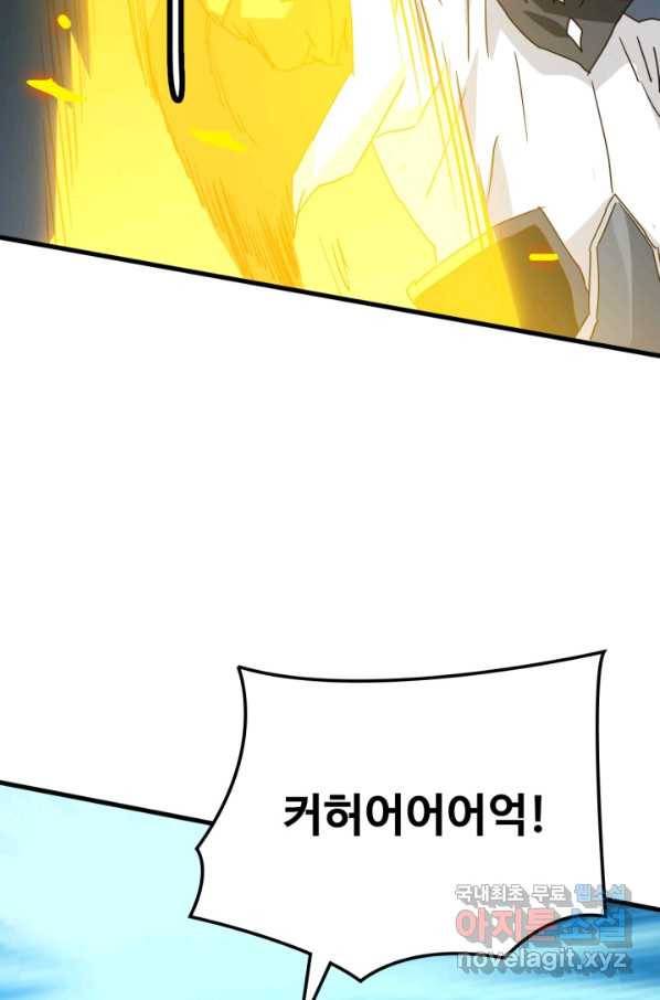광속으로 레벨업 37화 33