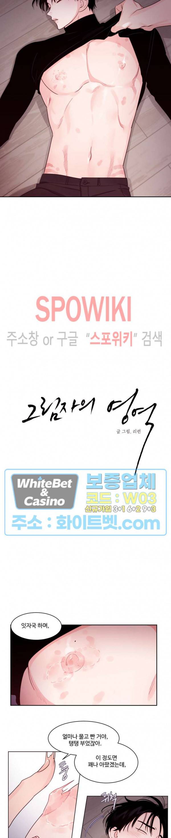 그림자의 영역 16화 3