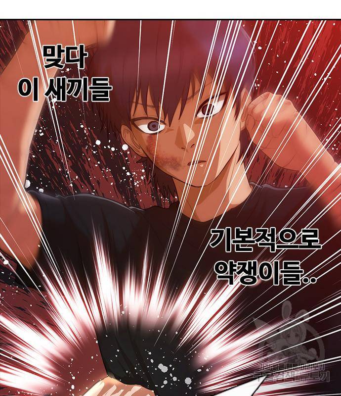 랜덤채팅의 그녀! 256화 48