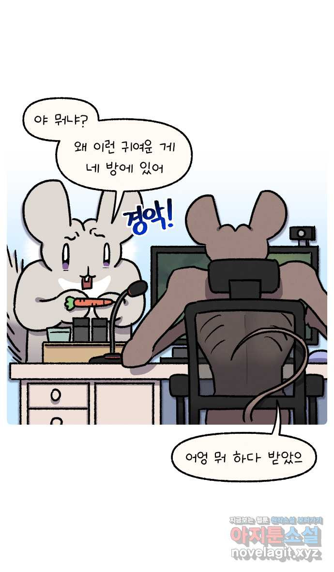 안녕, 나의 수집 15. 당근을 들었던 토끼인형 1