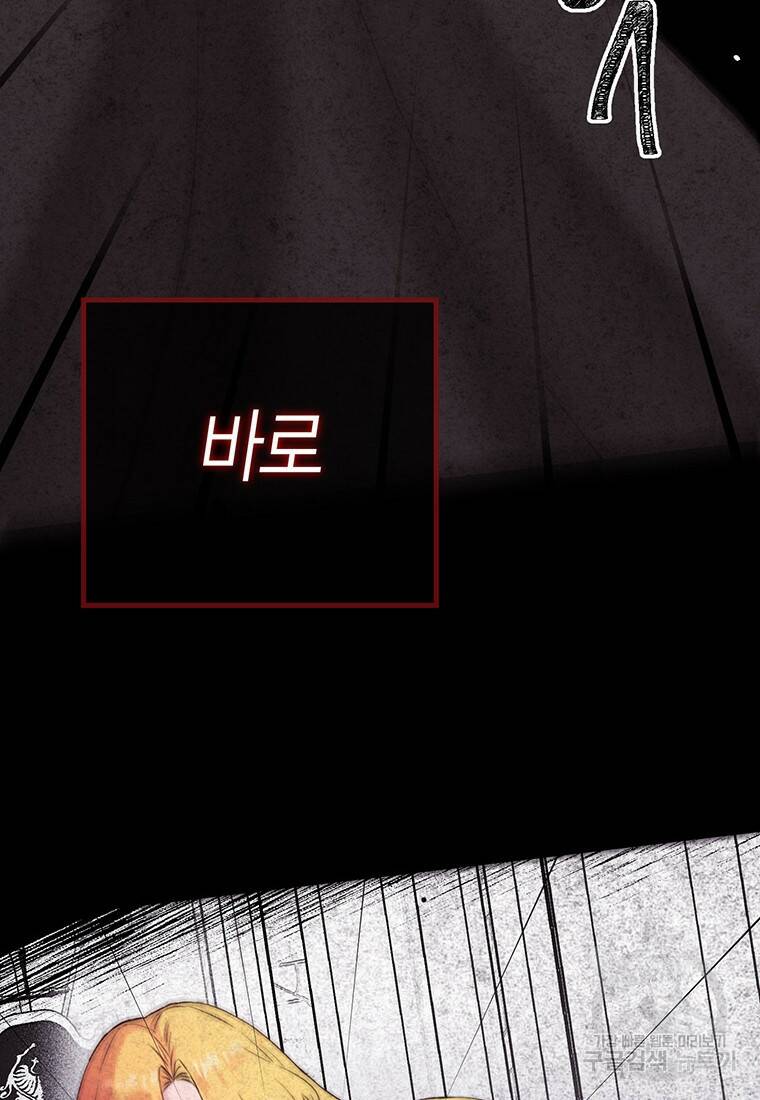 그 남자는 제 친오빠인데요, 공작님 12화 17