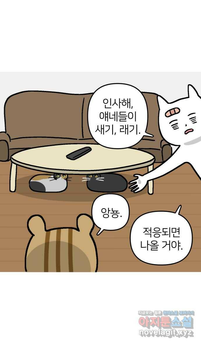 애옹식당 47화 람쥐와 바바밤맛 디저트 21