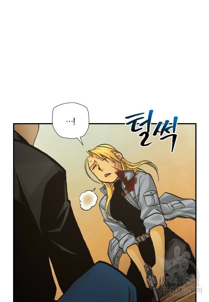 강철의 연금술사  255화 66