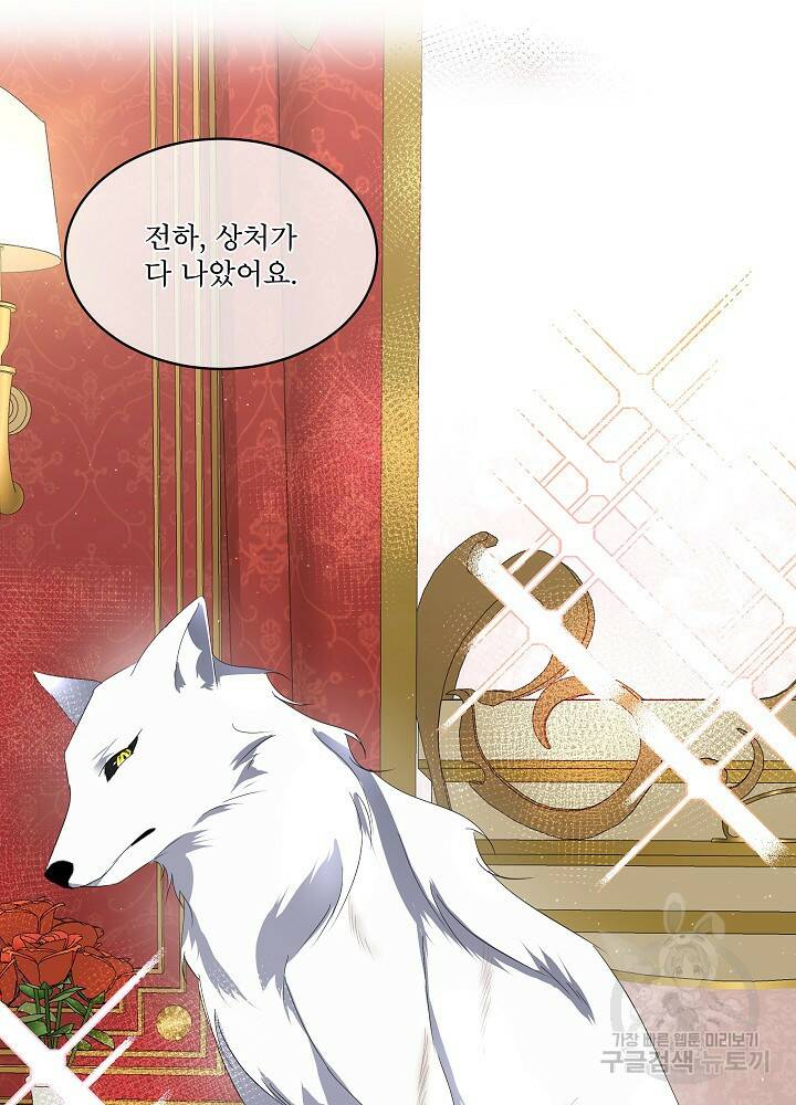 남주를 임시보호 중입니다 12화 38