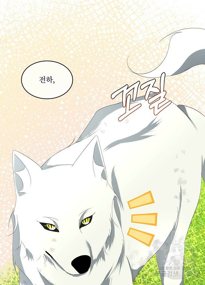 남주를 임시보호 중입니다 12화 89
