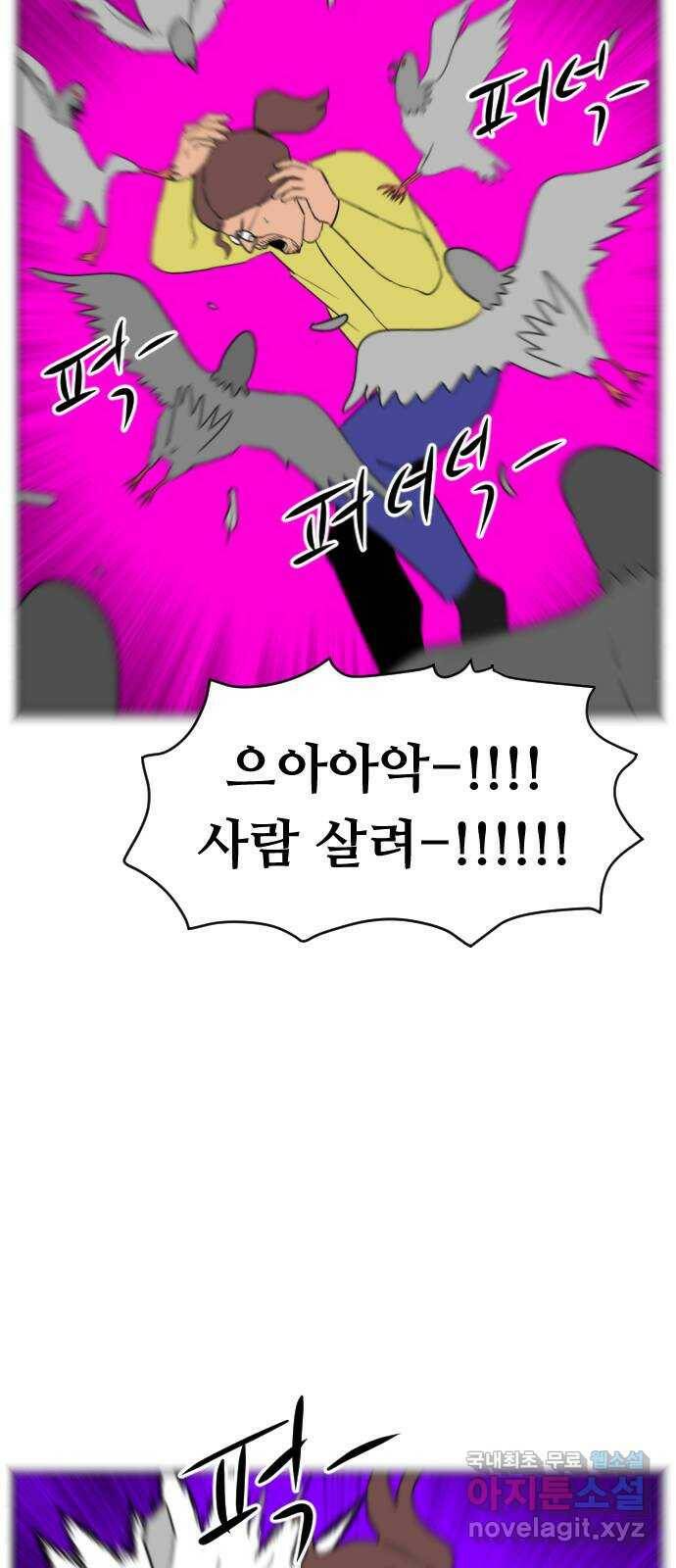 언덕 위의 제임스 357화 비둘기 전쟁 (3) 10