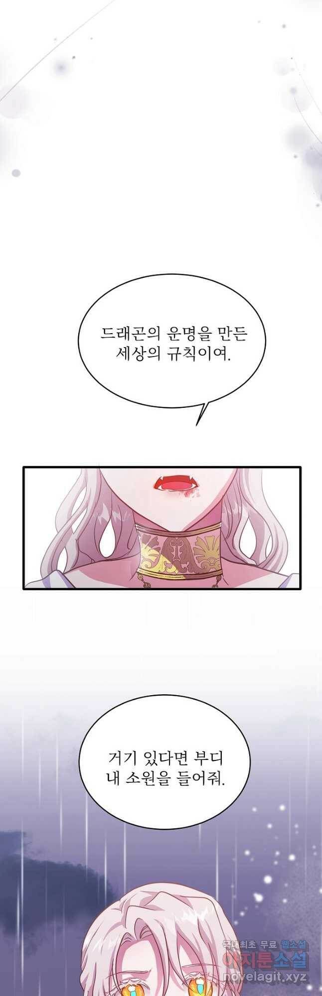 베이비 드래곤 78화 39