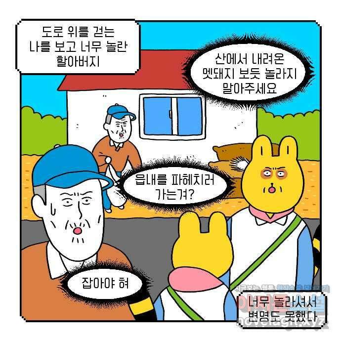 루루라라 우리네 인생 14화 홀로 모험 12