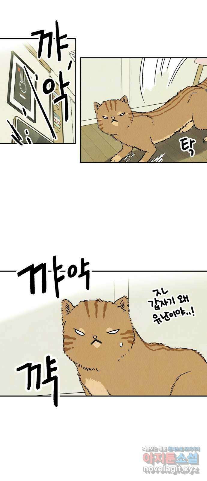 반짝반짝 작은 눈 76화 8