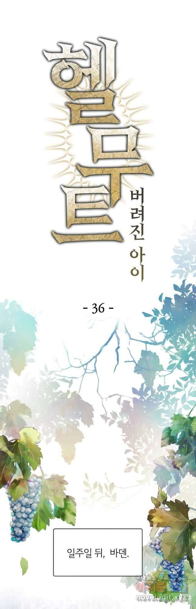 헬무트 36화 4