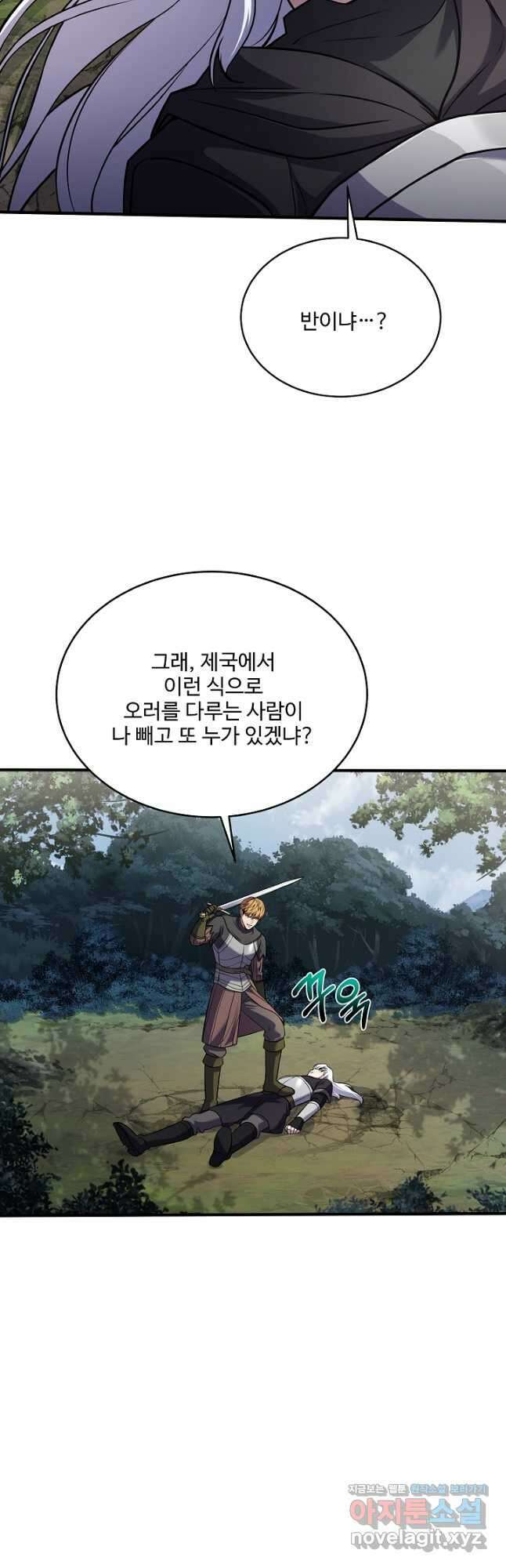 8서클 마법사의 환생 117화 19