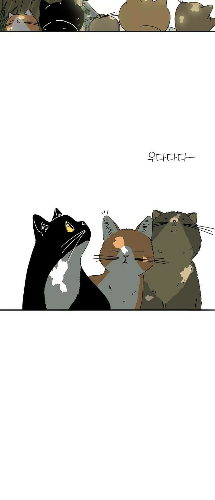 고양이 타타 1화 18