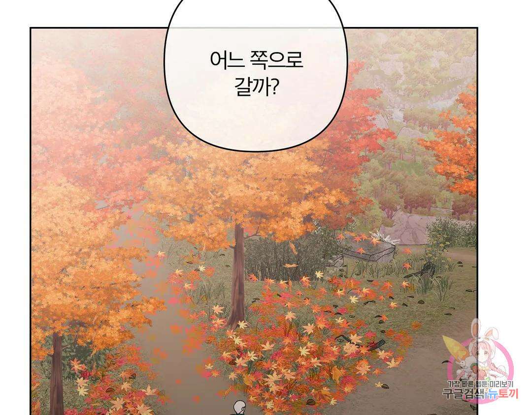 피치 소르베 57화 14