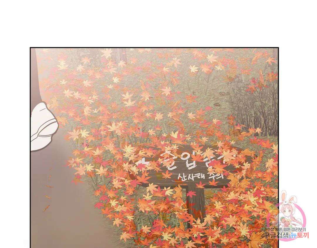 피치 소르베 57화 21