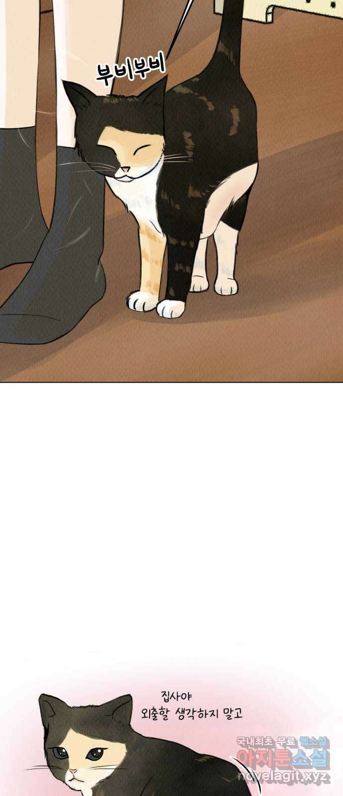 우리 집 고양이 보고 갈래? 1화 6