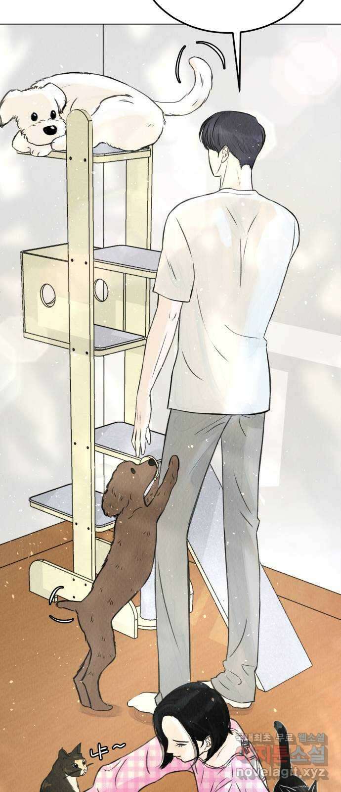 우리 집 고양이 보고 갈래? 1화 9