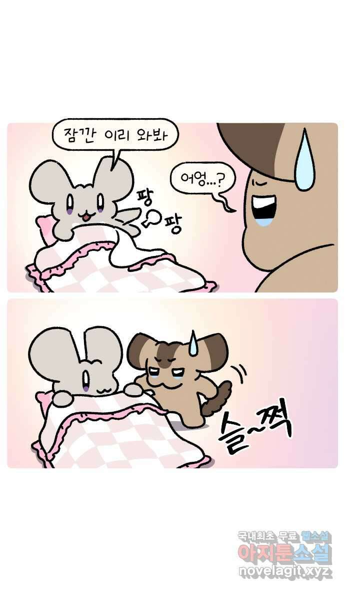 안녕, 나의 수집 46. 기념일 곰인형 (3) 그리고 야광별 2