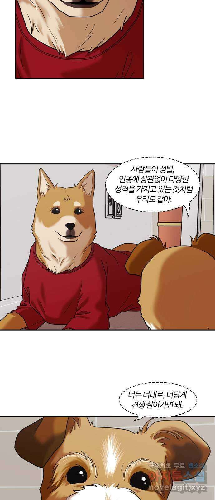 내일 291화 남아주세요 (10) 19