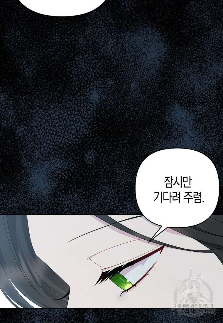 그래서 나는 폐태자와 결혼했다 2화 5