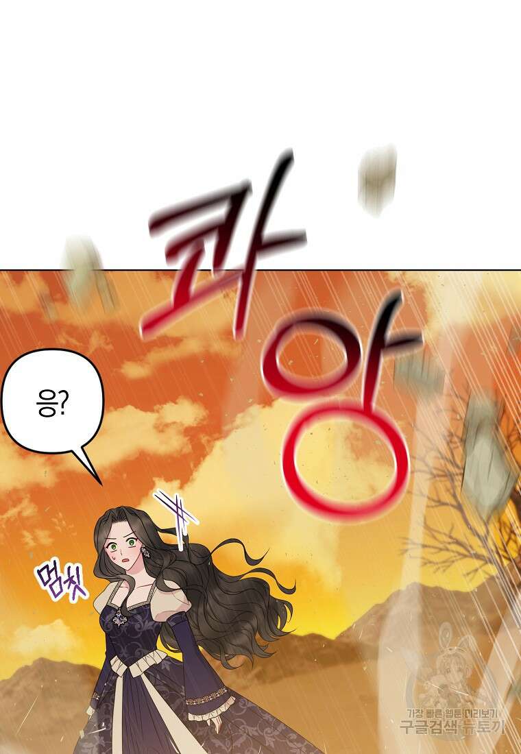 그래서 나는 폐태자와 결혼했다 9화 46